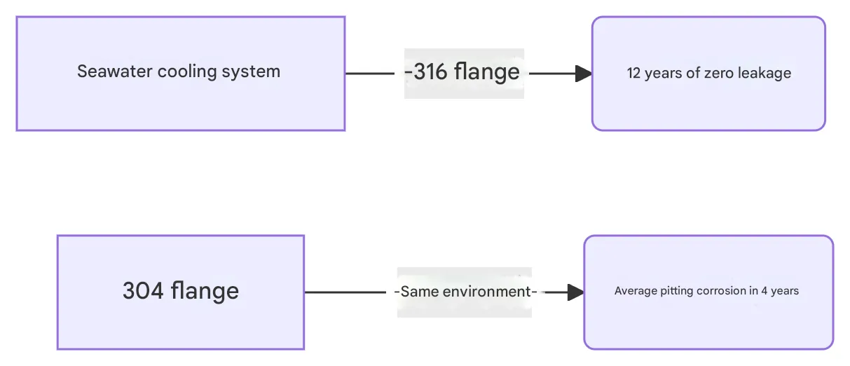 Stainless Steel 316 Flange